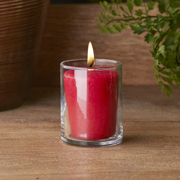 Root Candles Hollyberry Scented Votive Candle Wayfair